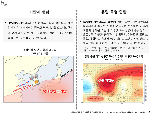 본문 텍스트 제공 #2